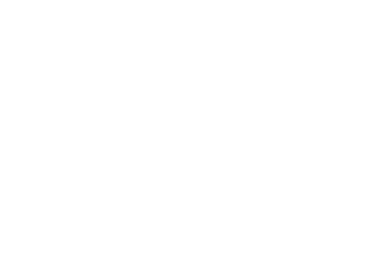 IQ Wealth Management®